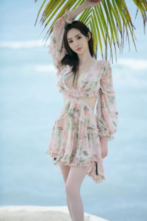 变形金刚2_DVD免费观看