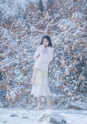 贵女电视剧免费观看全集高清_BD国语超清免费观看
